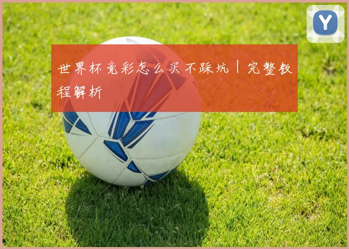 世界杯竞彩怎么买不踩坑｜完整教程解析