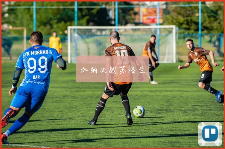 加纳决战苏格兰