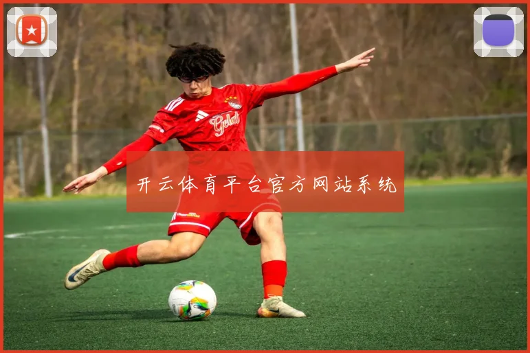 开云体育平台官方网站系统