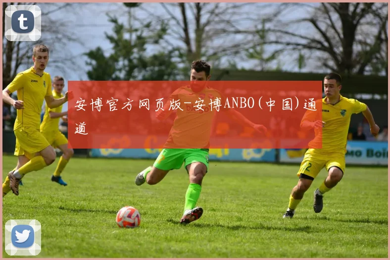 安博官方网页版-安博ANBO(中国)通道