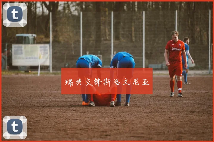 瑞典交锋斯洛文尼亚