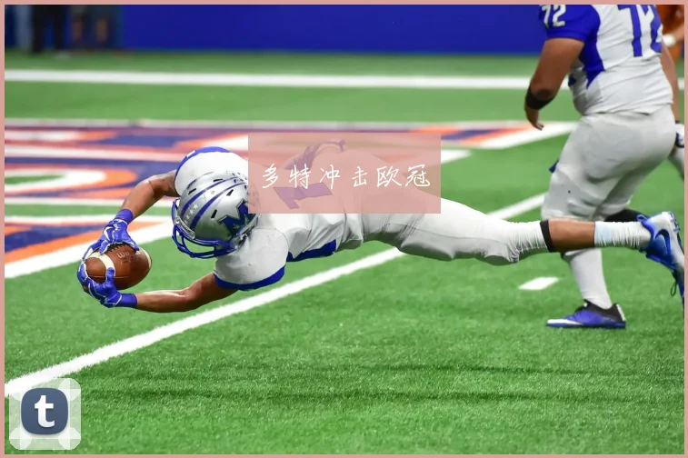 多特冲击欧冠