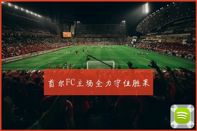 首尔FC主场全力守住胜果