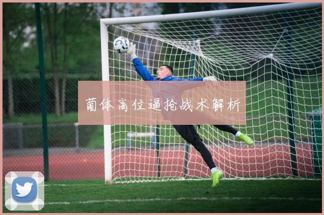 葡体高位逼抢战术解析