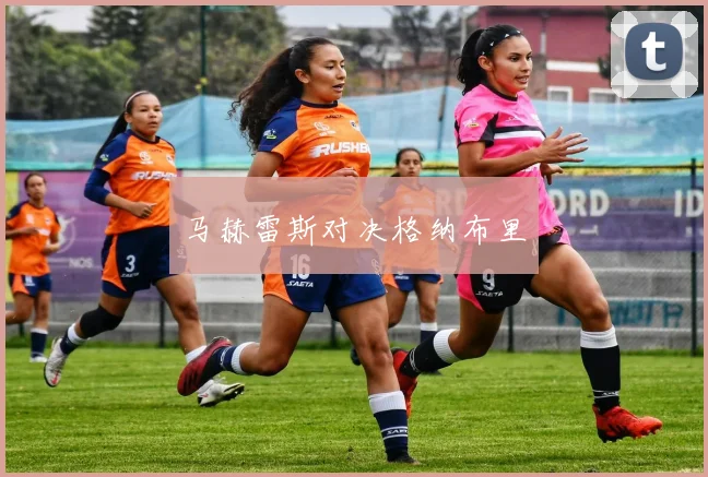 马赫雷斯对决格纳布里
