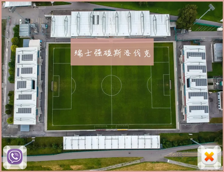 瑞士强碰斯洛伐克