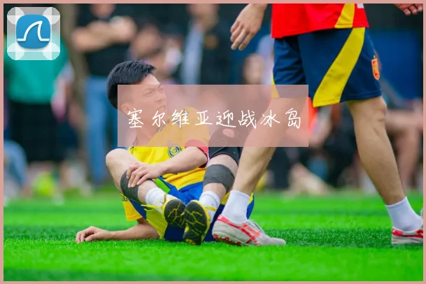 塞尔维亚迎战冰岛