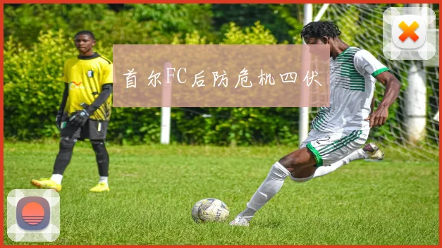 首尔FC后防危机四伏
