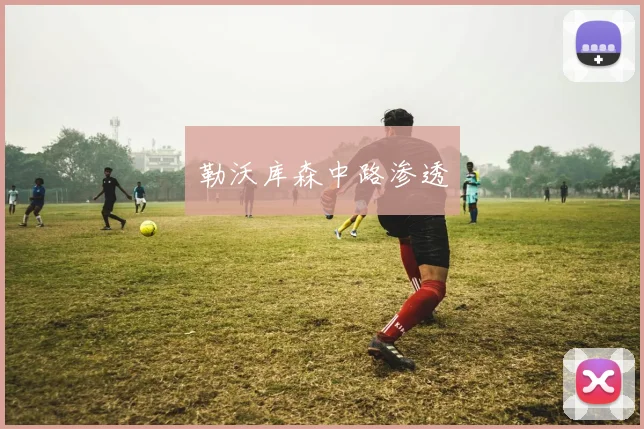 勒沃库森中路渗透