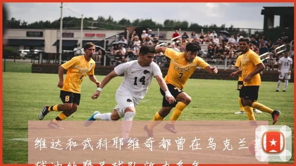 维达和武科耶维奇都曾在乌克兰基辅迪纳摩足球队效力多年