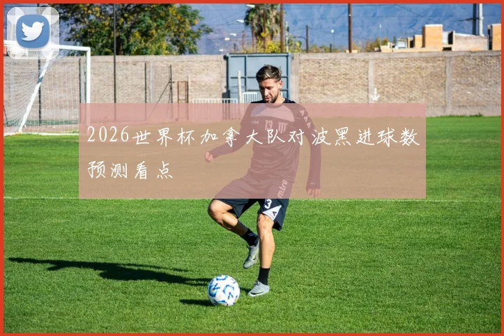 2026世界杯加拿大队对波黑进球数预测看点