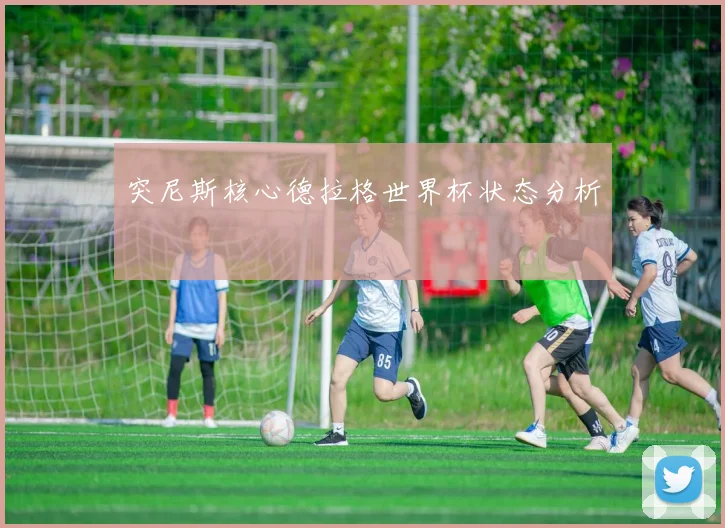 突尼斯核心德拉格世界杯状态分析