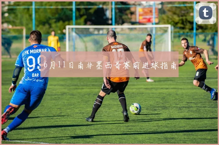 6月11日南非墨西哥赛前进球指南