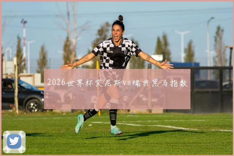 2026世界杯突尼斯vs瑞典黑马指数