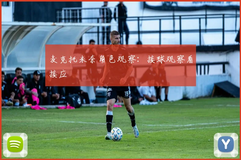 麦克托米奈角色观察：接球观察看接应
