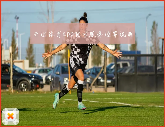 开运体育app官方服务边界说明