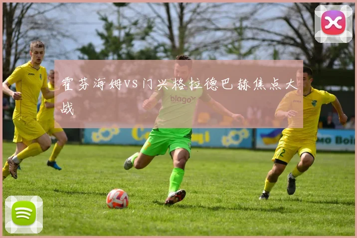 霍芬海姆vs门兴格拉德巴赫焦点大战