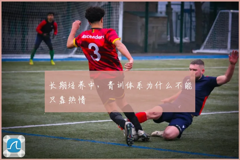 长期培养中，青训体系为什么不能只靠热情