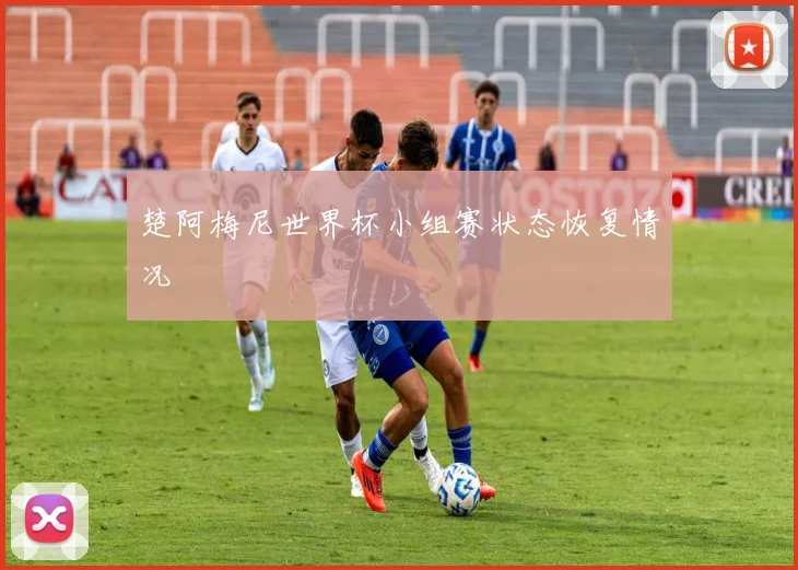 楚阿梅尼世界杯小组赛状态恢复情况